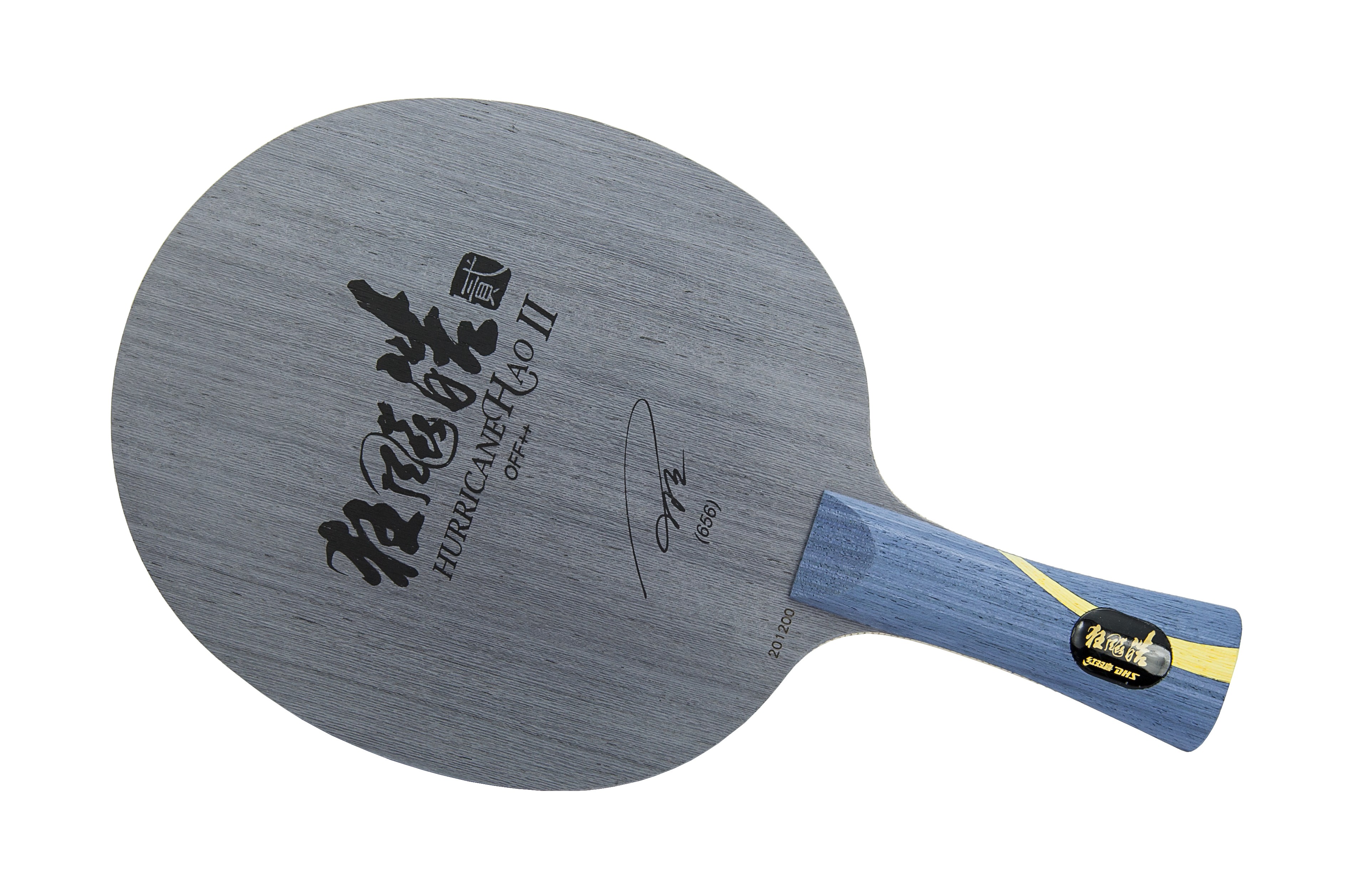 HURRICANE HAO II DHS